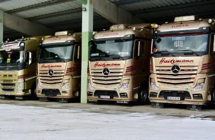 Vier goldfarbene Haitzmann Transporte LKWs mit Kranarbeiten und Baustofftransporten in einer Halle in Kleinarl geparkt.