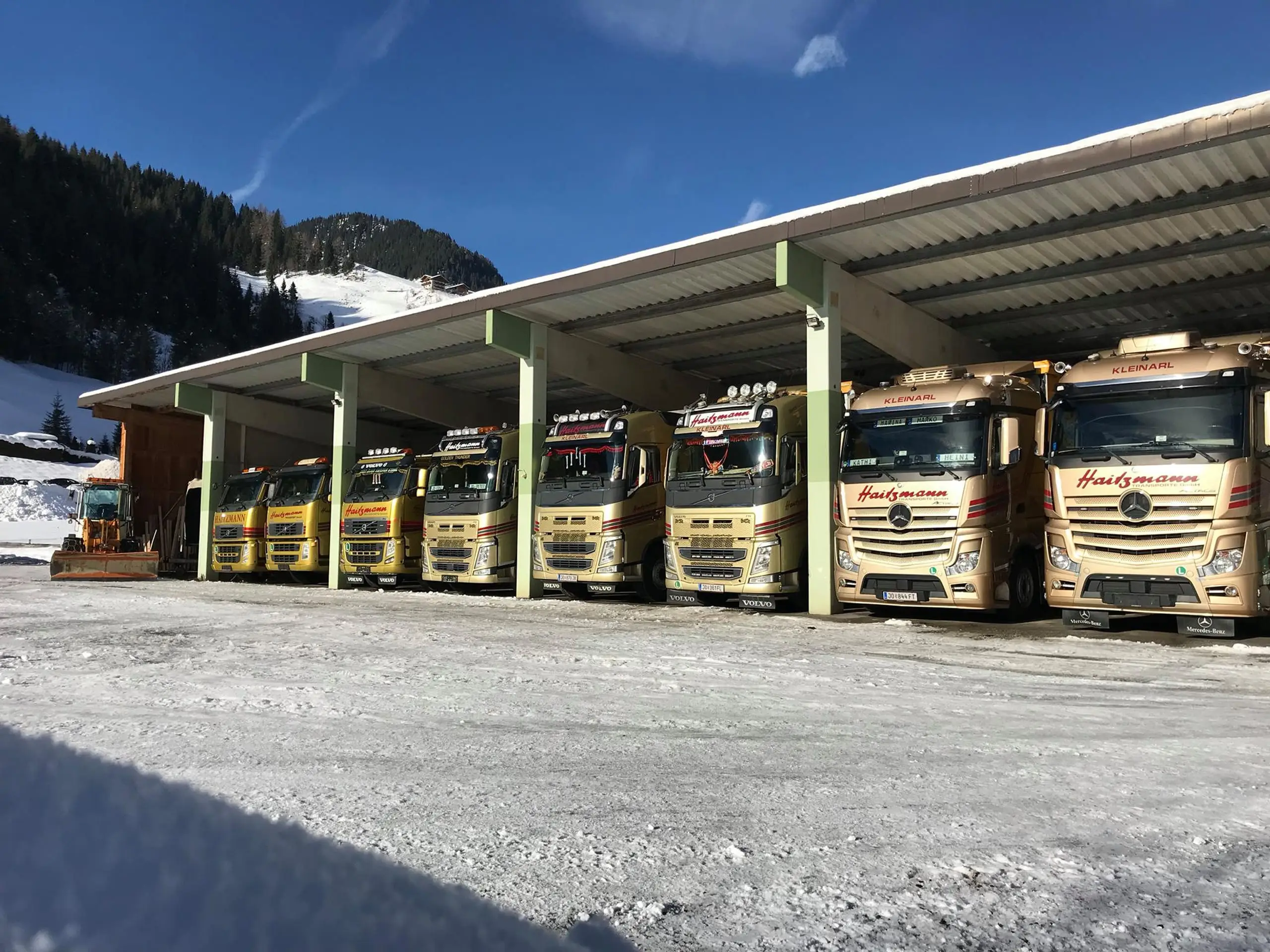 Sieben gelbe Haitzmann Transporte LKWs stehen nebeneinander unter einem offenen Carport im verschneiten Kleinarl.